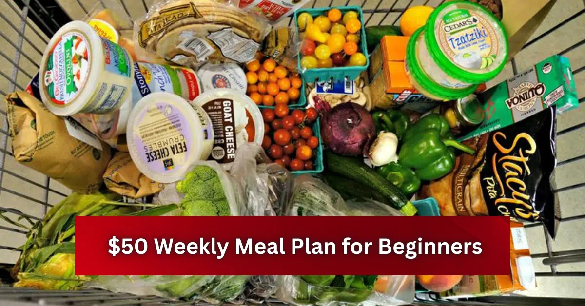 Home 6 Top view of a grocery cart filled with fresh vegetables, fruits, cheese, yogurt, pita bread, and snacks, with a red banner reading “$50 Weekly Meal Plan for Beginners.” CAP: $50 weekly meal plan for beginners using simple groceries, fresh produce, and